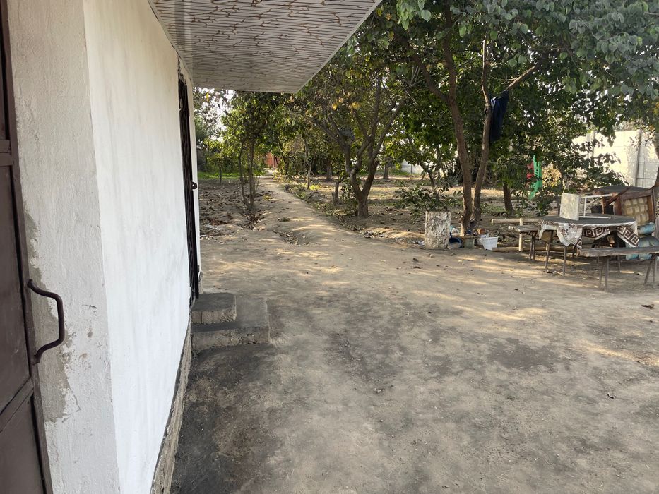 10 сотихли дача 2 хона уйи билан кадастрга улчаб кетишди