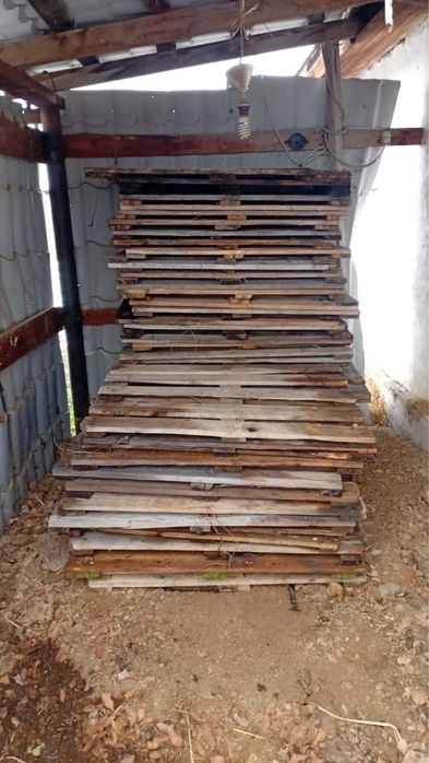 Палеты срочно продам