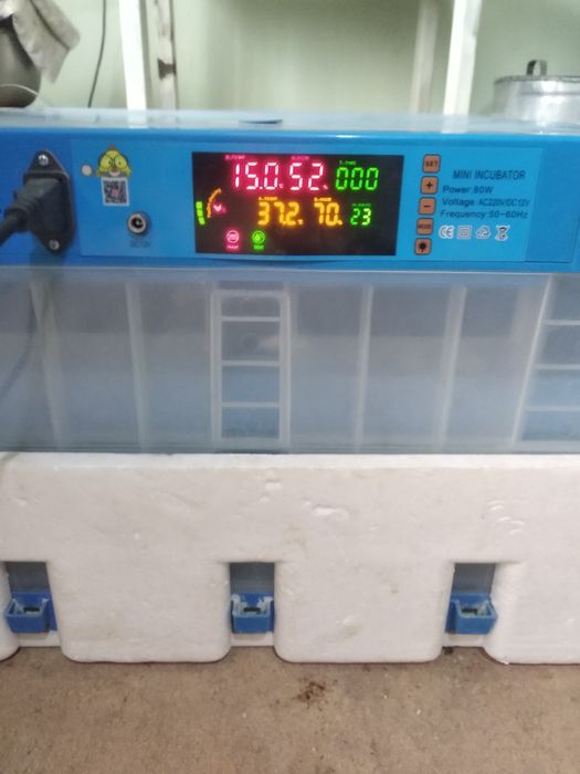 Inkubator sotiladi yangidek turibdi