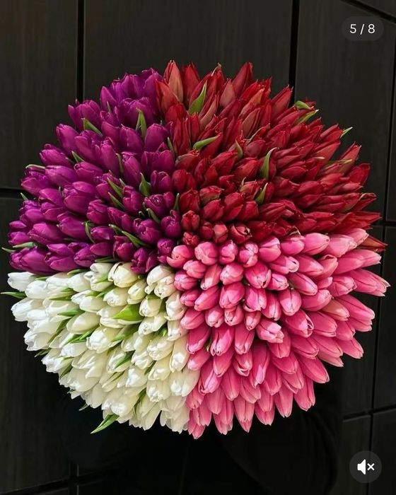 Тюльпаны на 8 марта