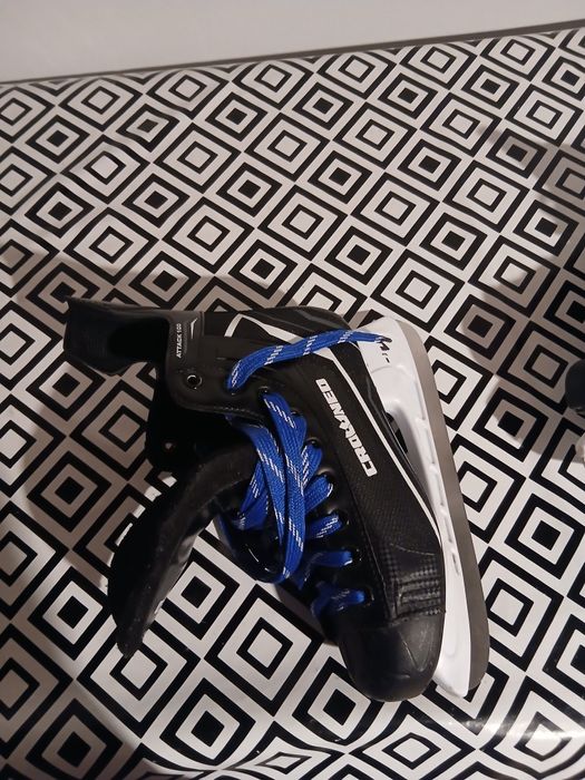 Vand patine de hochei