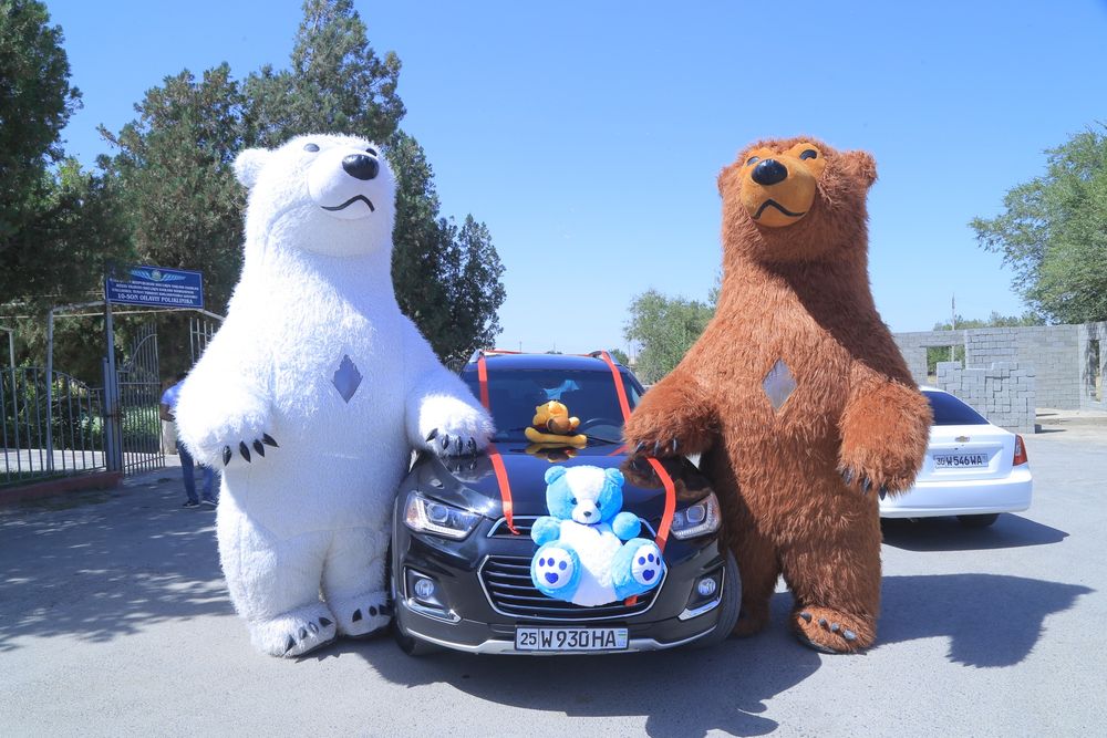 Ayiqlar xizmati barcha viloyat boylab