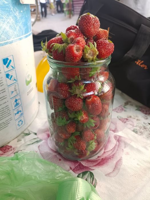 Клубника домашняя