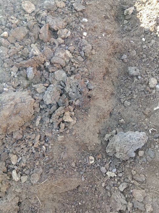 Продам навоз пос. Россоахоз мешок 200  тенге