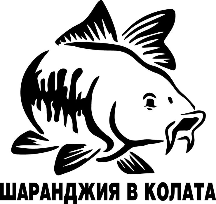 Стикери за кола по ваш избор