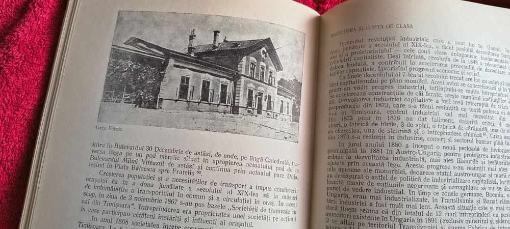 TIMISOARA 700- pagini din trecut și azi