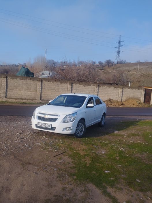 Coblt 4 pakalena 90 tali merosni bor