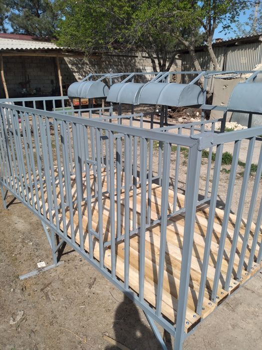 Qo'y katak taxta polik