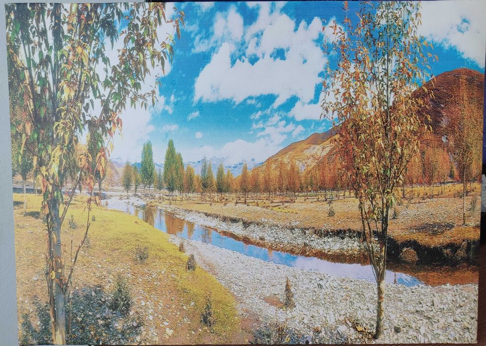 Пейзажи - пустинен и есенен