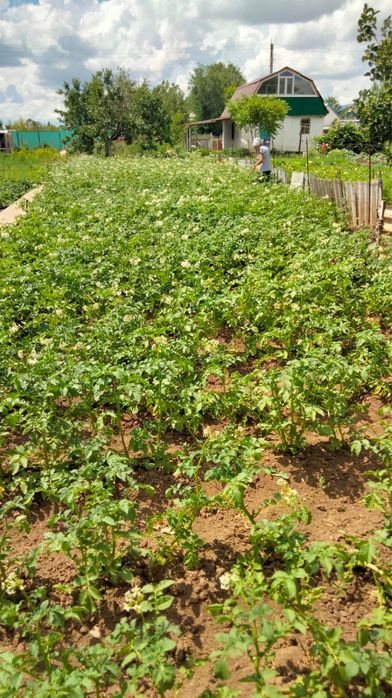 Продам дачу за 7 млн