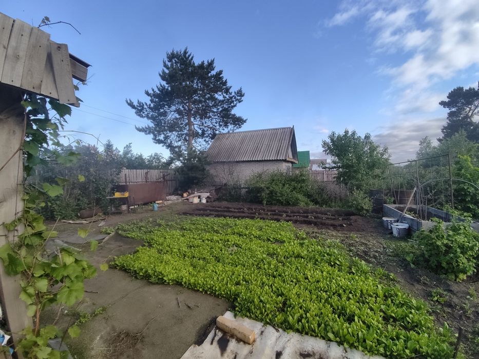 Дачный участок,  6.5 соток