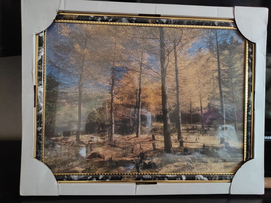 Четыре картины в рамках