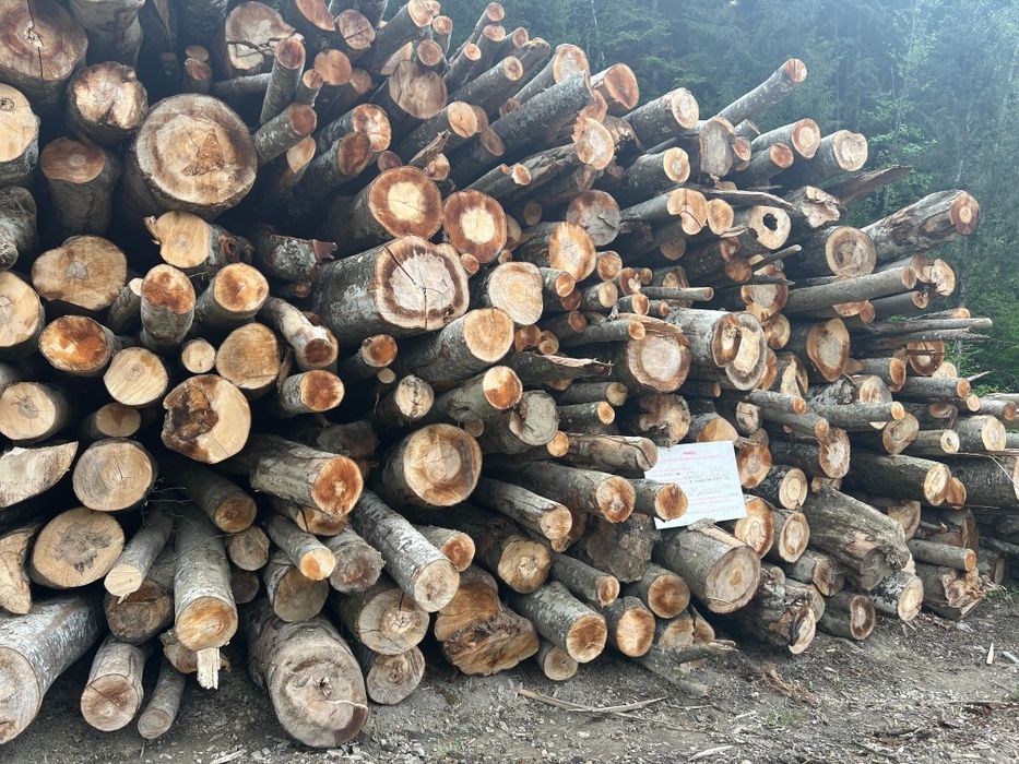 Lemn de foc fag si diverse tari