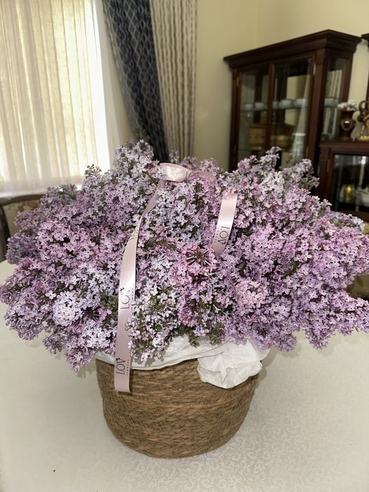 Сирень в кашпо продается