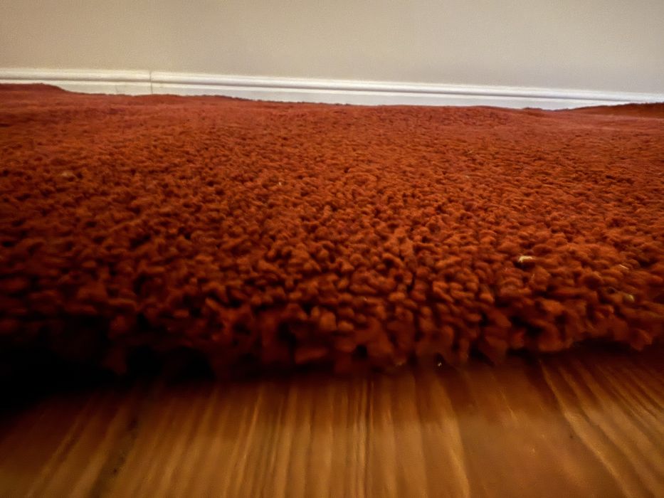 Covor Adum rosu/grena 170x240 fir lung