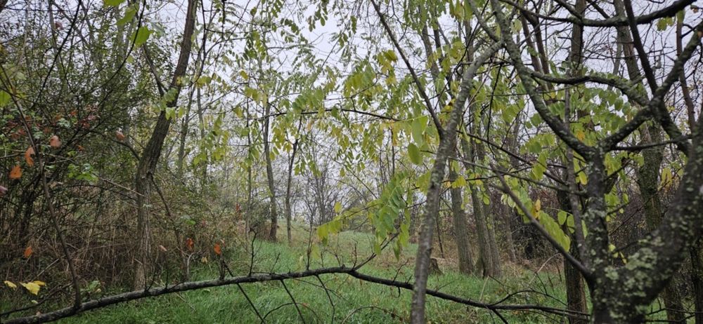 Продава се Къща в с. Пресяка, Област Ловеч - 60 кв.м за 170 €/кв.м - Снимка #7