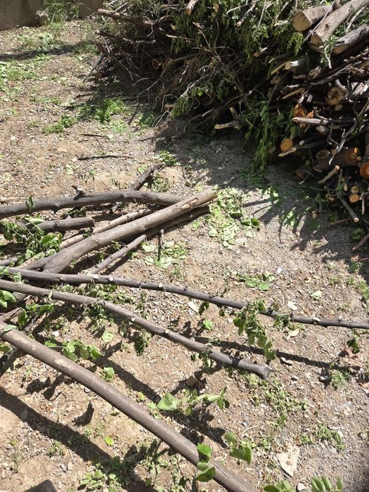 Отдам дрова даром