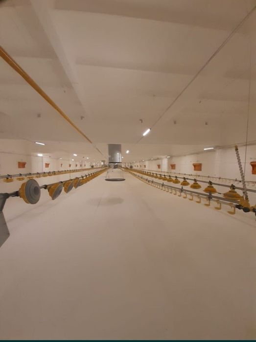 Побелка. Известь. Әк шашамыз