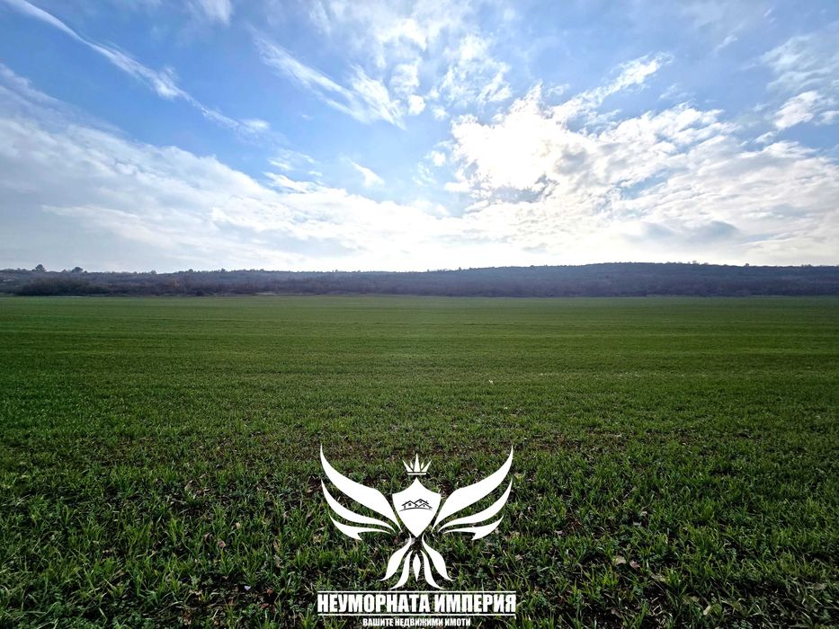 Продава се Парцел в Асеновград - 4800 кв.м за 7 €/кв.м - Снимка #2