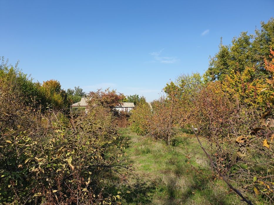 Sirdaryo viloyati Sayhunobot tumani Pobeda mahalasida 40 sothli uy