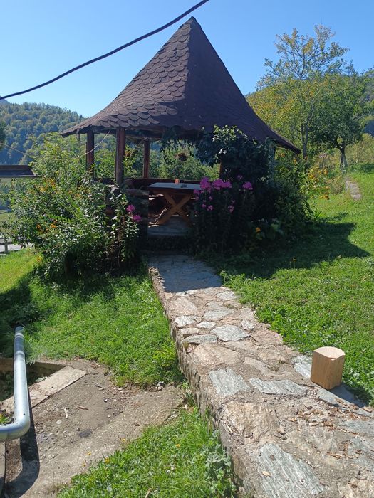 Închirieri Camera Dâmbovicioara