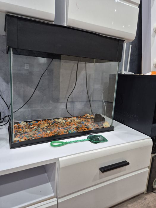 Аквариум с ракушками