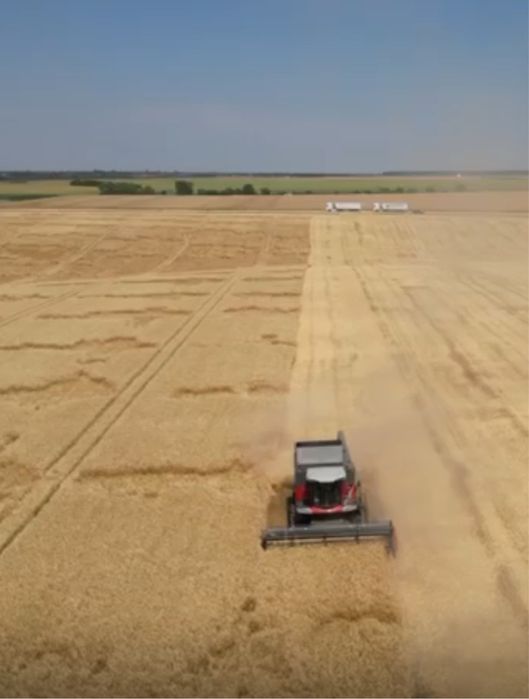 Massey  Ferguson 7347s MCS
