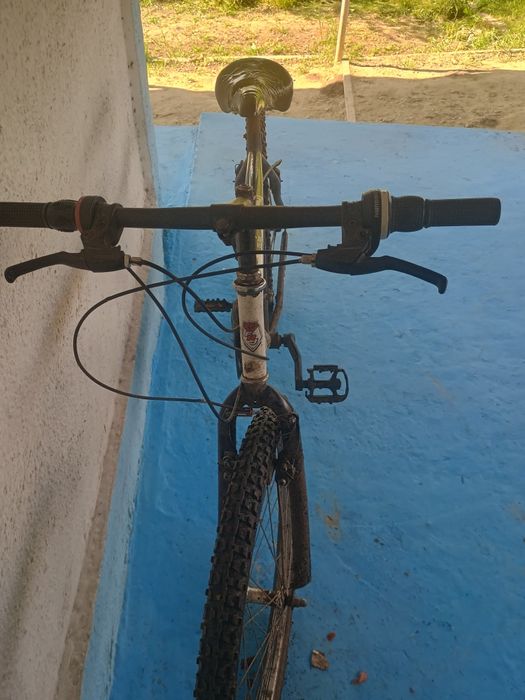Bicicleta mountain bike