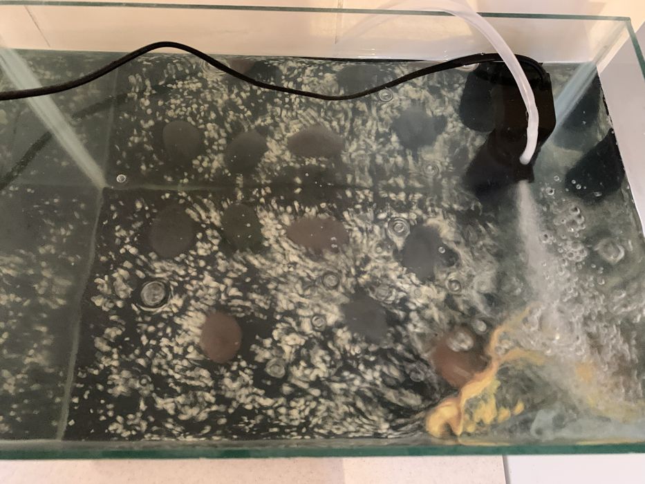 Аквариум не протекает 15-17л