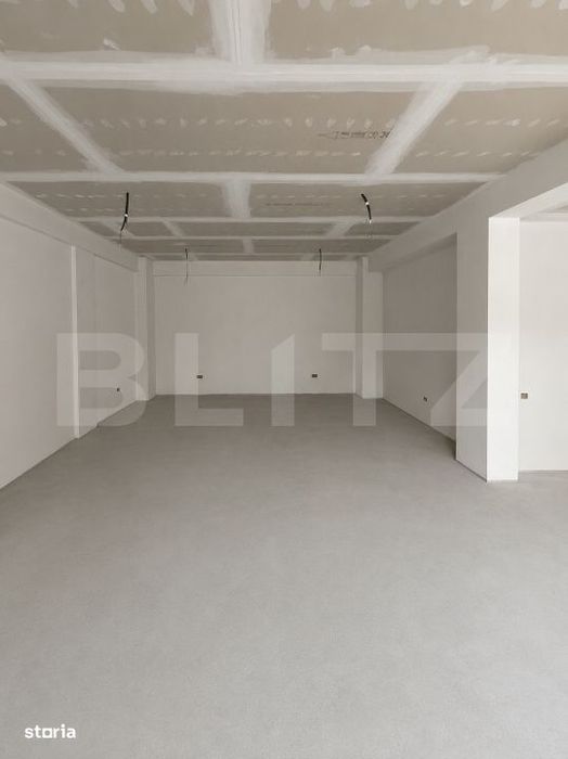 Spatiu Comercial Roka