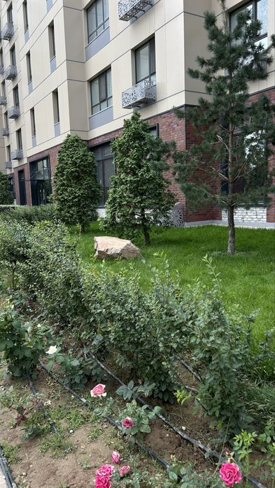Денеге толық босаңсыту массажы