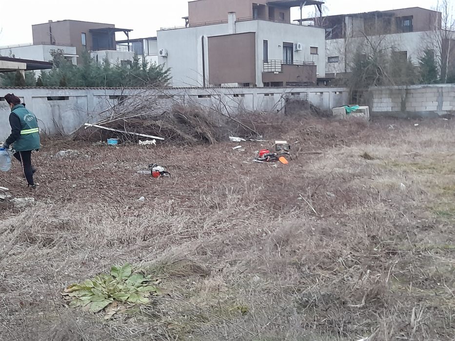 Tăiere copaci defrisari curățare Debarasare evacuare moloz transport