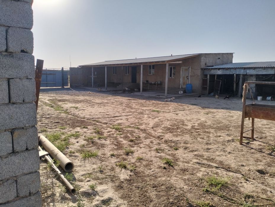 Кора қора фазенда