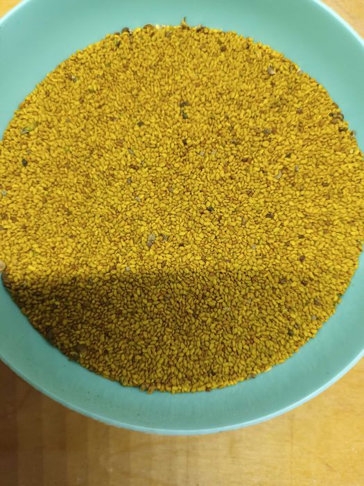 Люцернено семе реколта 2023