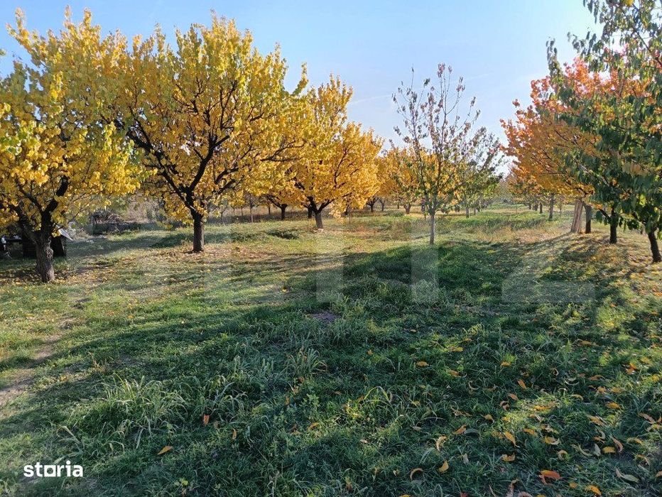 Teren Intravilan 3325 mp Magurele Prahova , Oportunitate !