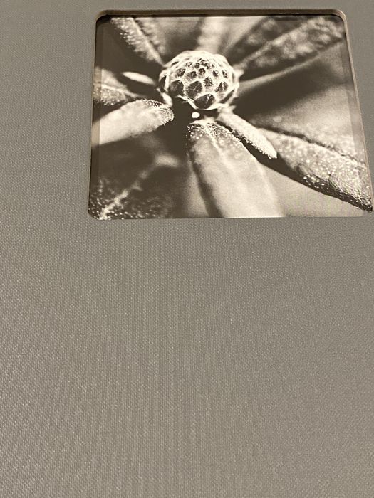 Албум за снимки