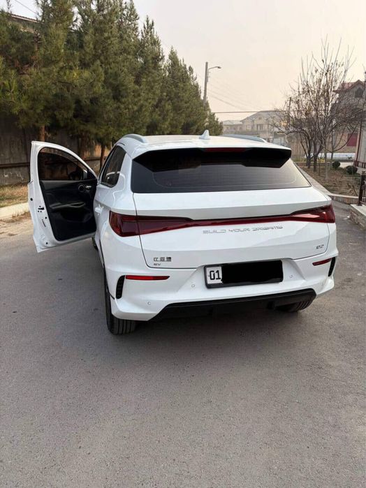 Byd E2 luxury 2024