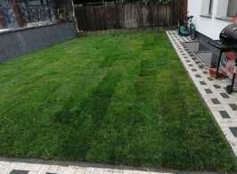 Sisteme de irigatii si Gazon Rulou