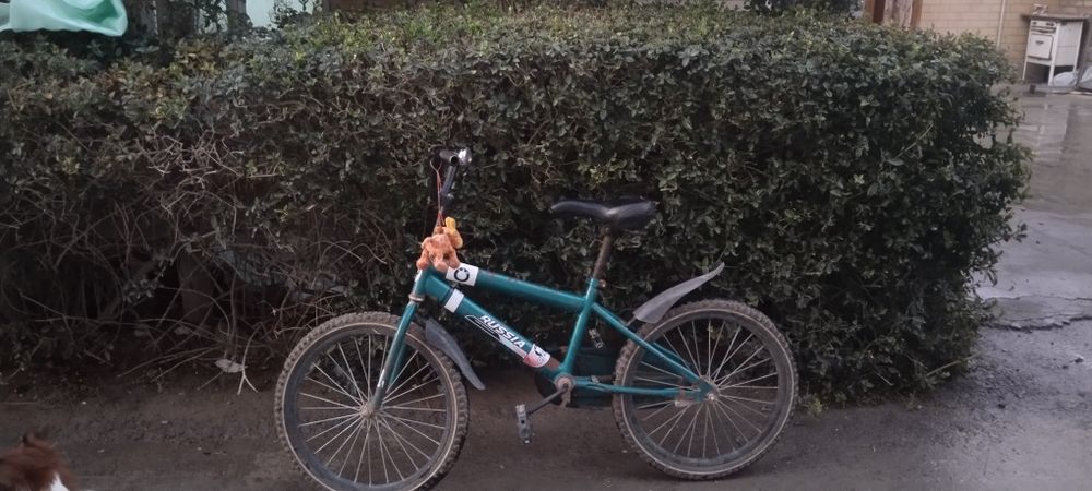 Велик зелёный БМВ