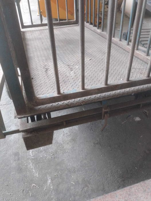 Cantar pentru animale