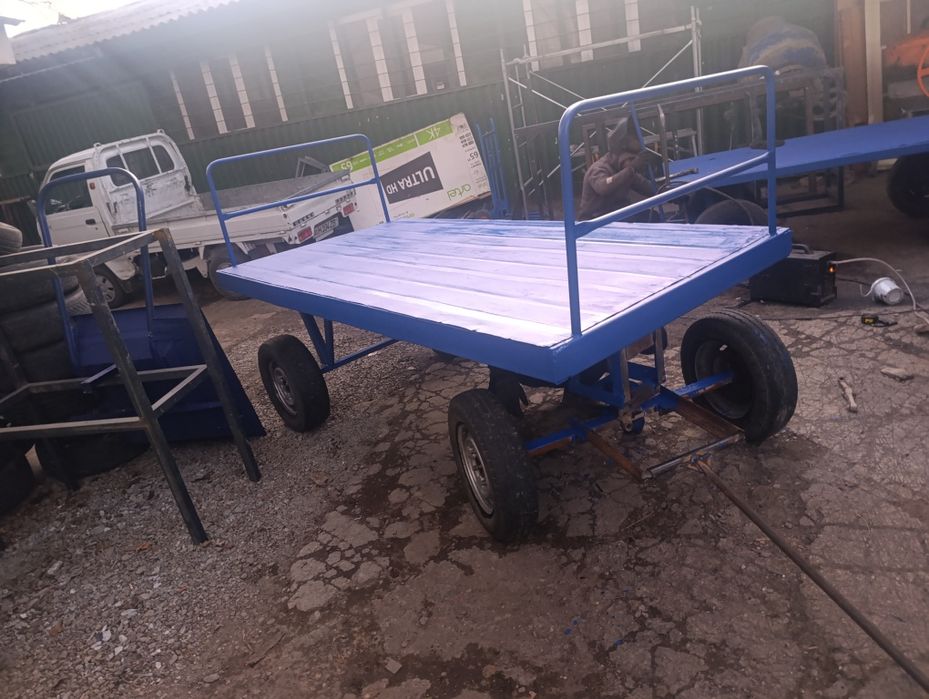 Arava  tanidirga moljalnga