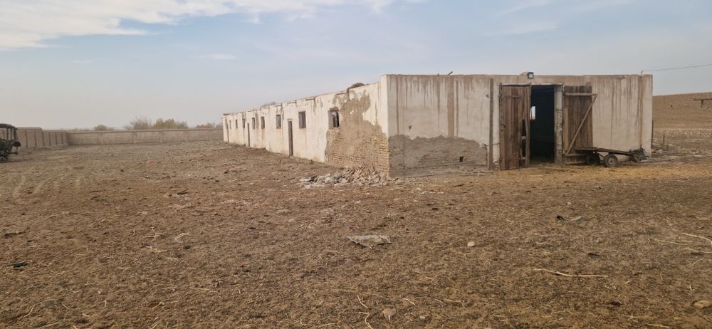 Ферма биноси сотилади