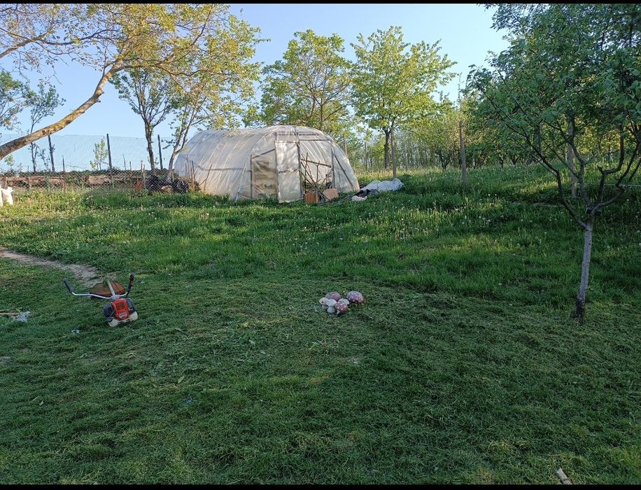 Casă și grădină în Sisterea