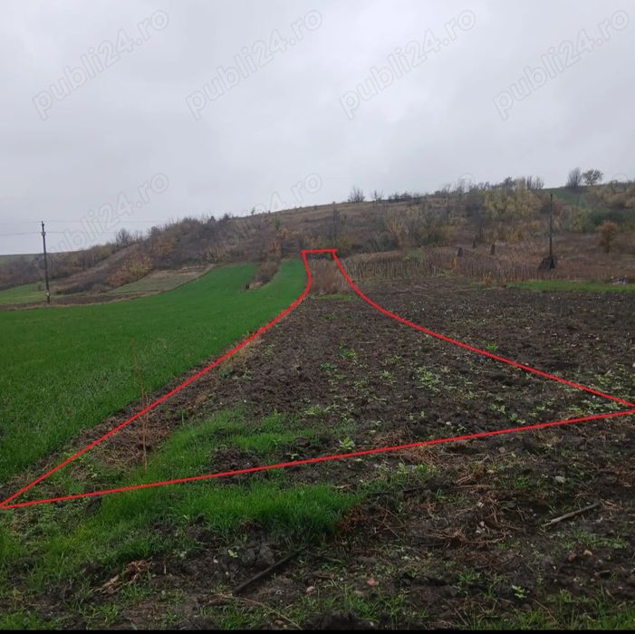 Teren intravilan arabil com. Schitu sat Greci 1080m