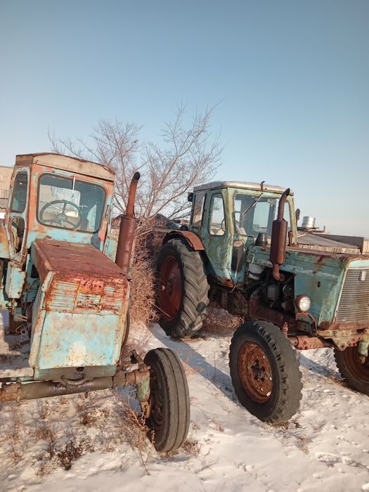 Трактор мтз 50 + т40 в придачу