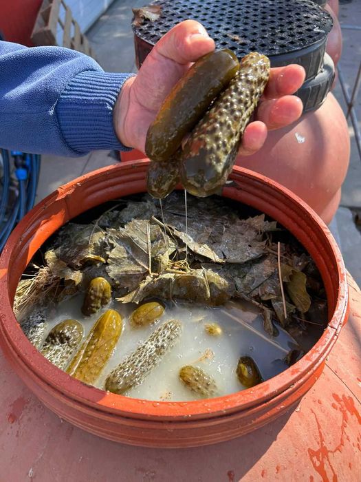 Vând Butoaie  din Tablă – Pentru , Mese la Cafenea și Baruri