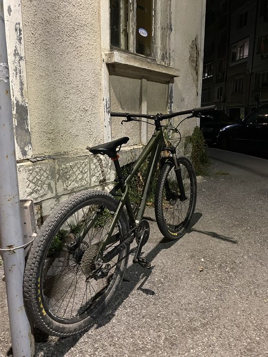 Cross dexter 2023