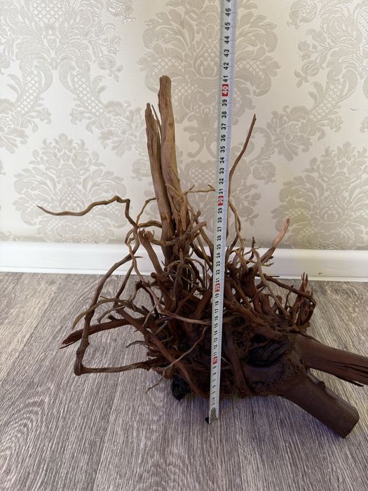 Продам корягу для аквариума