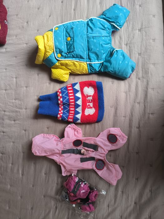 Одежда для собак