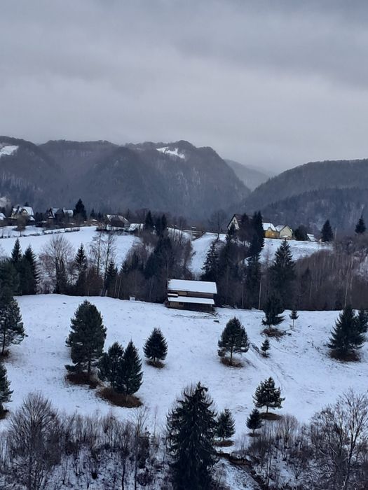 Teren la munte Ciocanu-Pestera-Bran-Moeciu